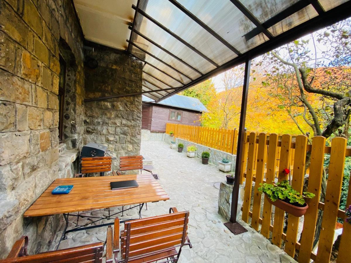 Apartment Carol Private Yard With Barbeque And Parking Sinaia Exterior photo